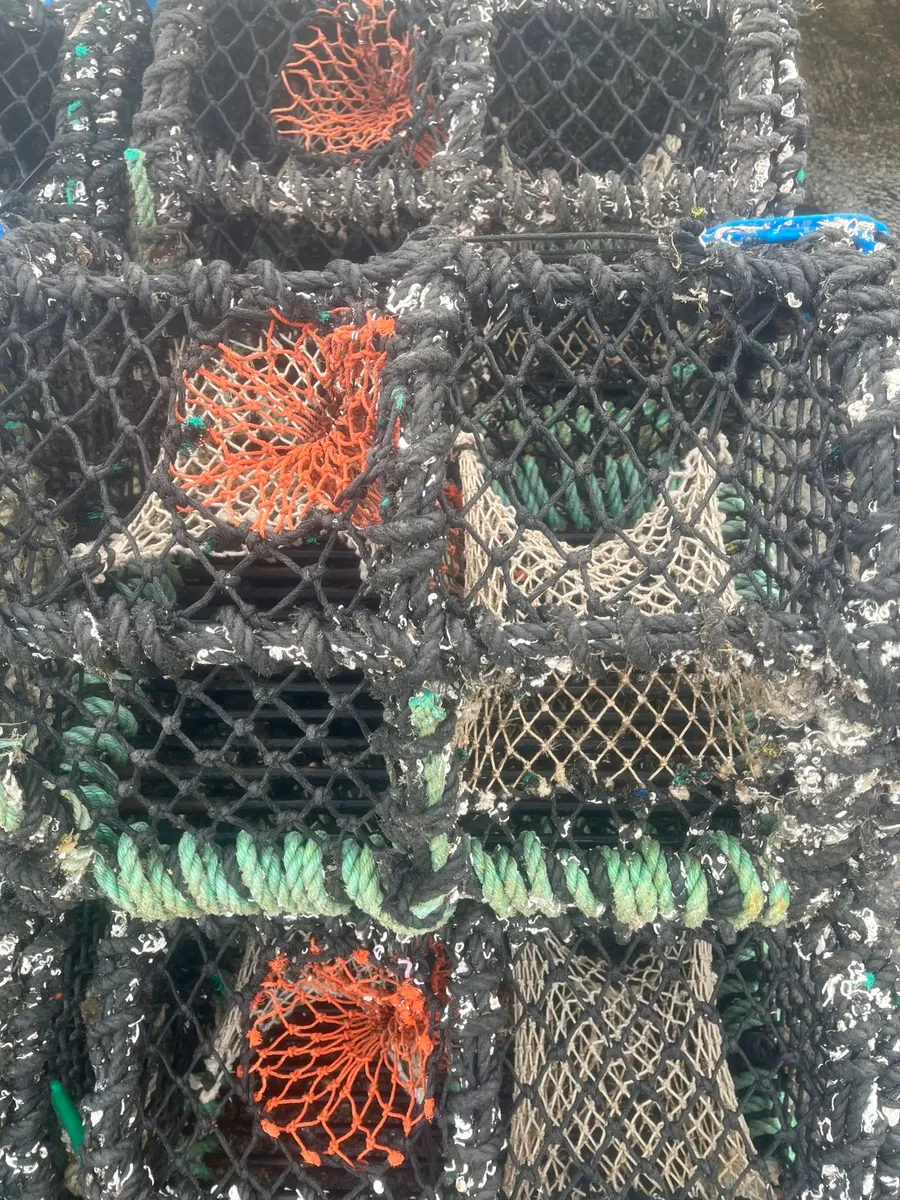 22”pots for sale - Image 3