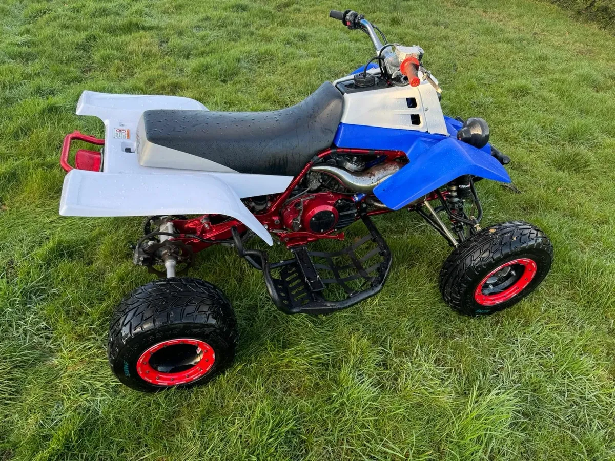 Yamaha Banshee 350 American Race Spec Custom Build - Image 3