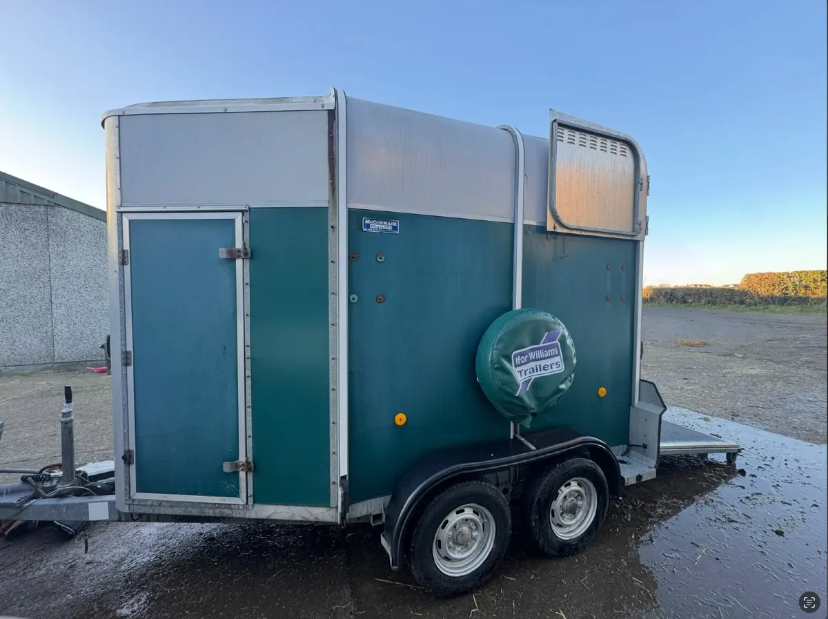 Ifor Williams 505 Horsebox – Very Good Condition - Image 1