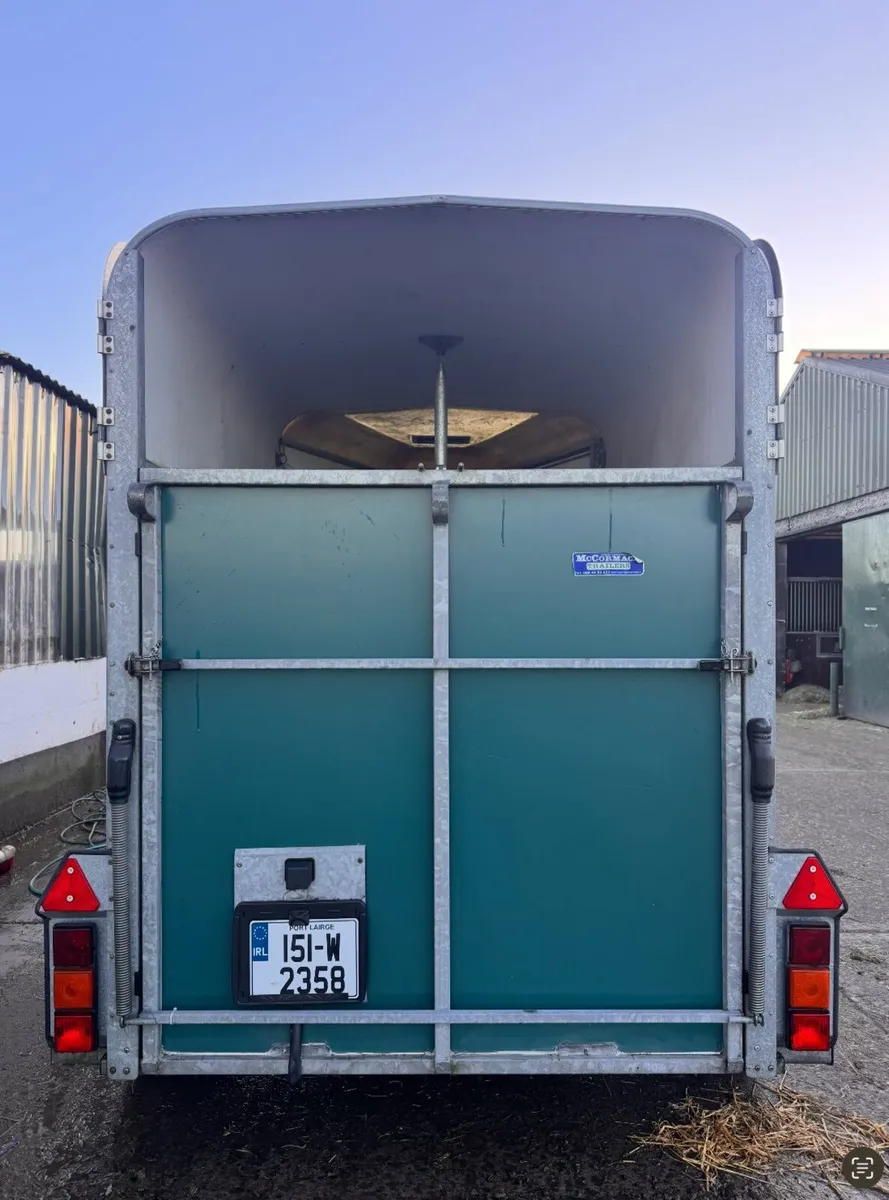 Ifor Williams 505 Horsebox – Very Good Condition - Image 4