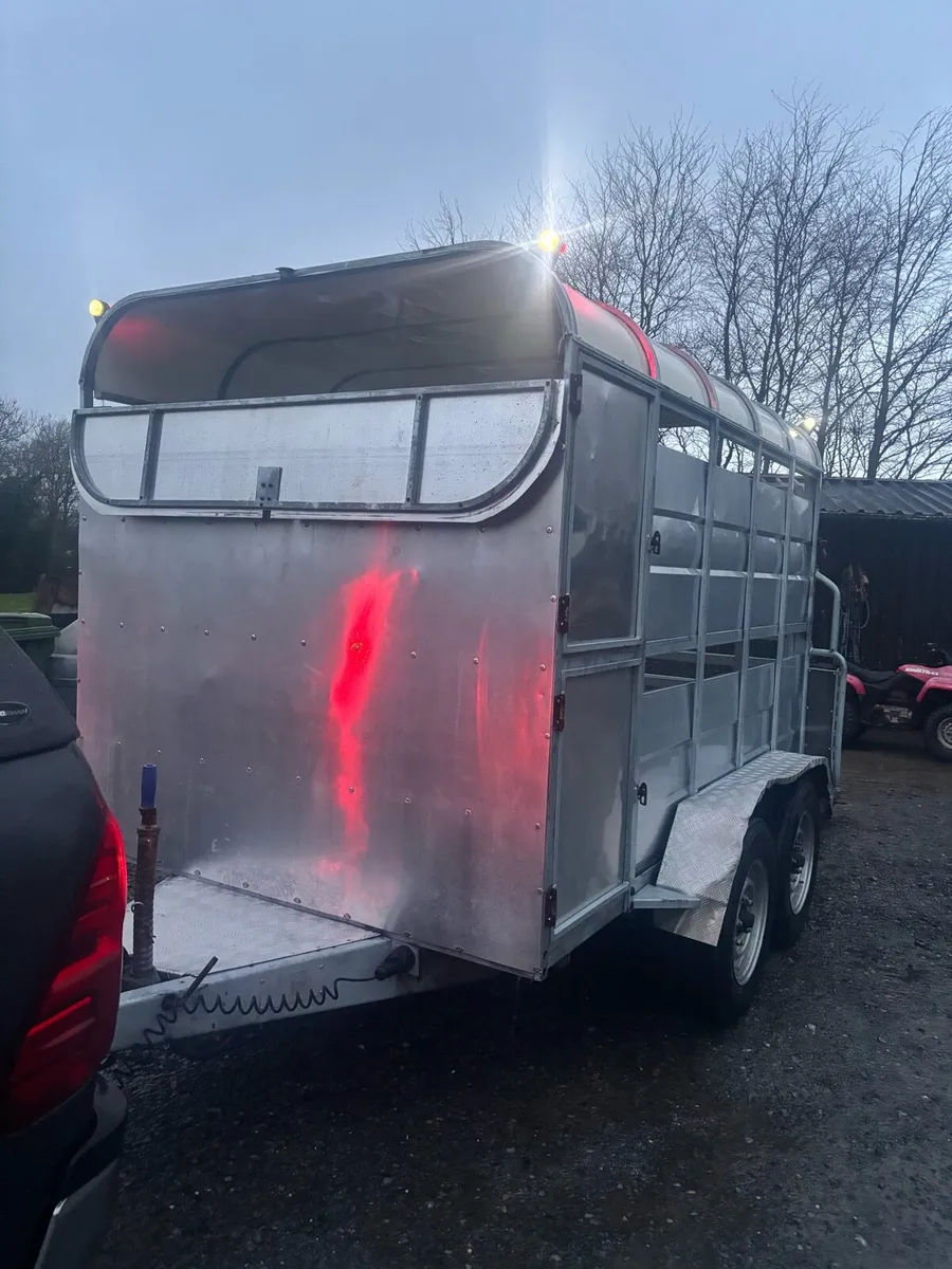 10 foot Dyna power cattle trailer - Image 3