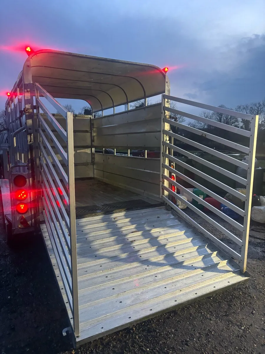 10 foot Dyna power cattle trailer - Image 4