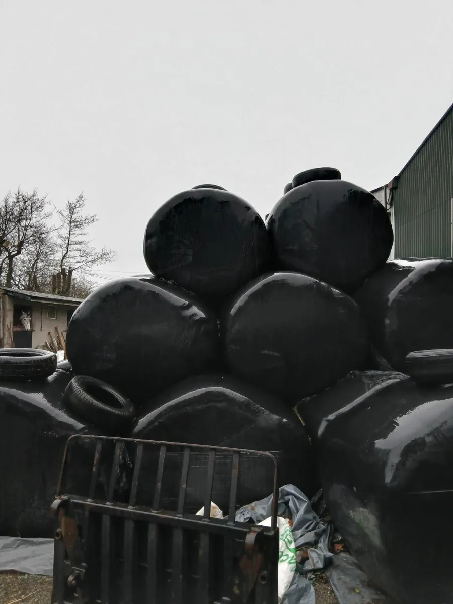 Hay,Silage and haylage