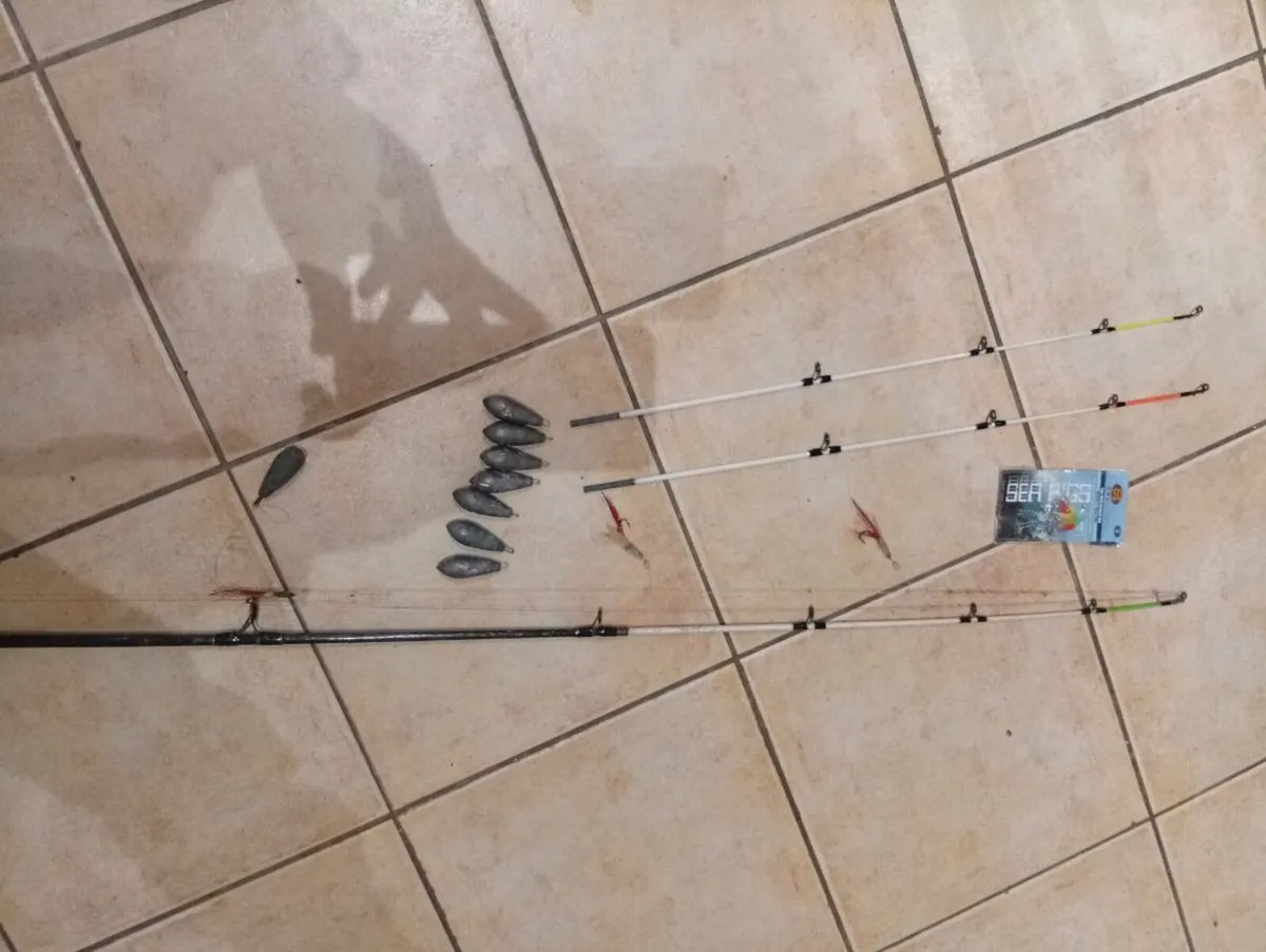 Marinemaster fishing Rod 2.4m - Image 3