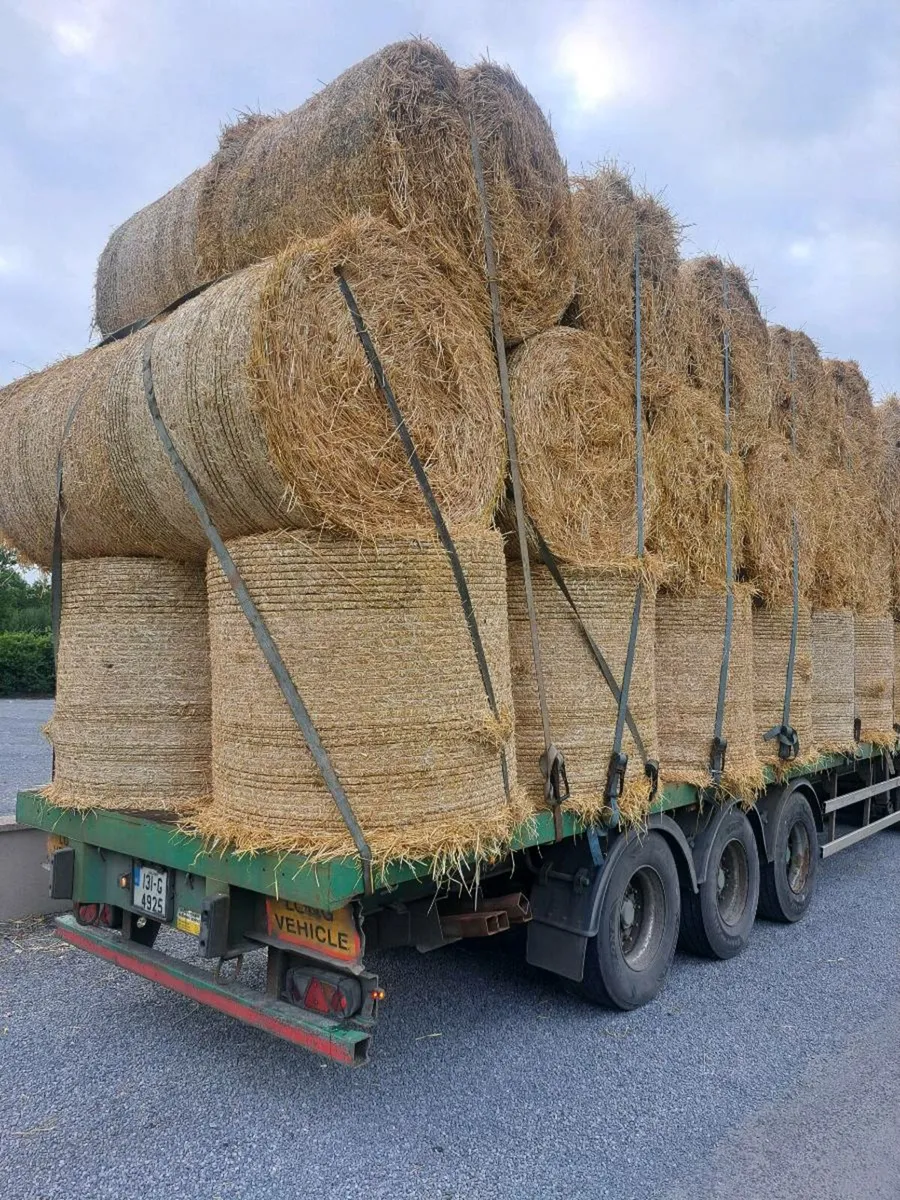 Barley straw - Image 1