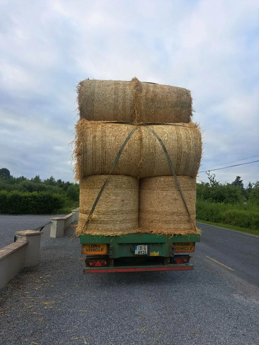 Barley straw - Image 2