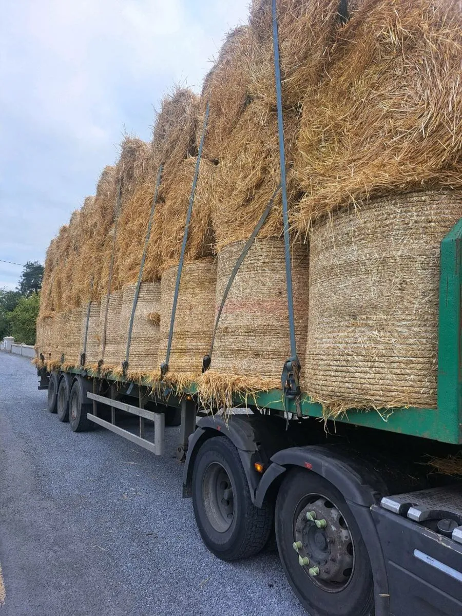 Barley straw - Image 3