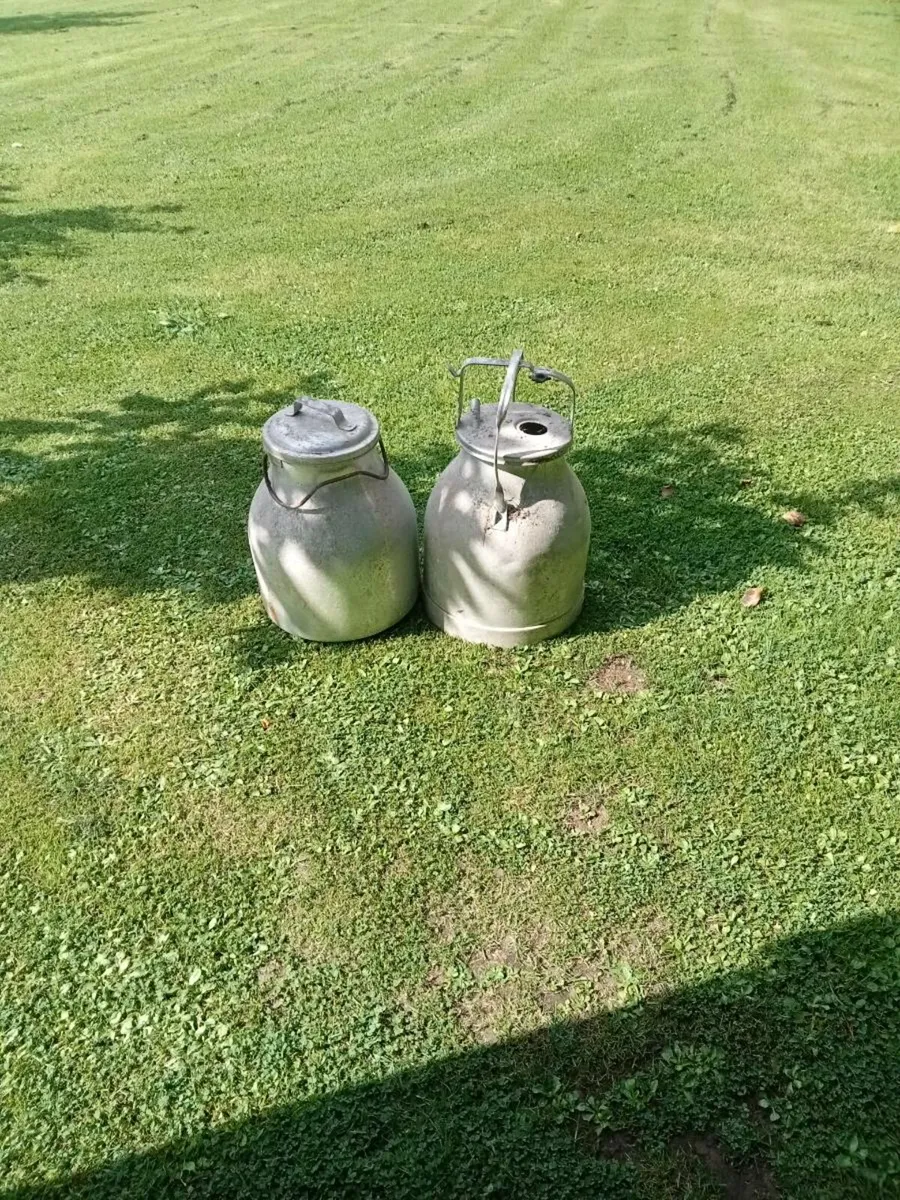 Two old milk buckets - Image 2