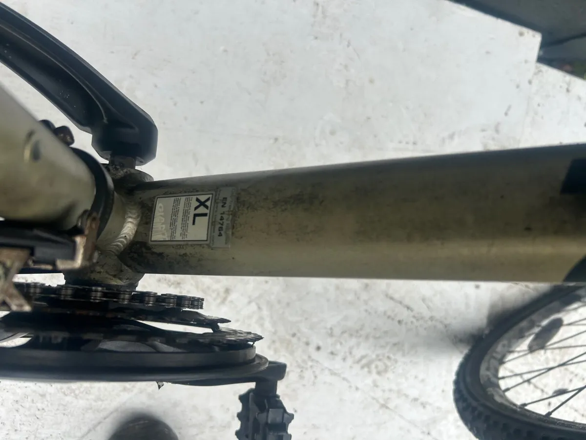 Giant Roame ❗️Open 7 days of the week ❗️ - Image 2