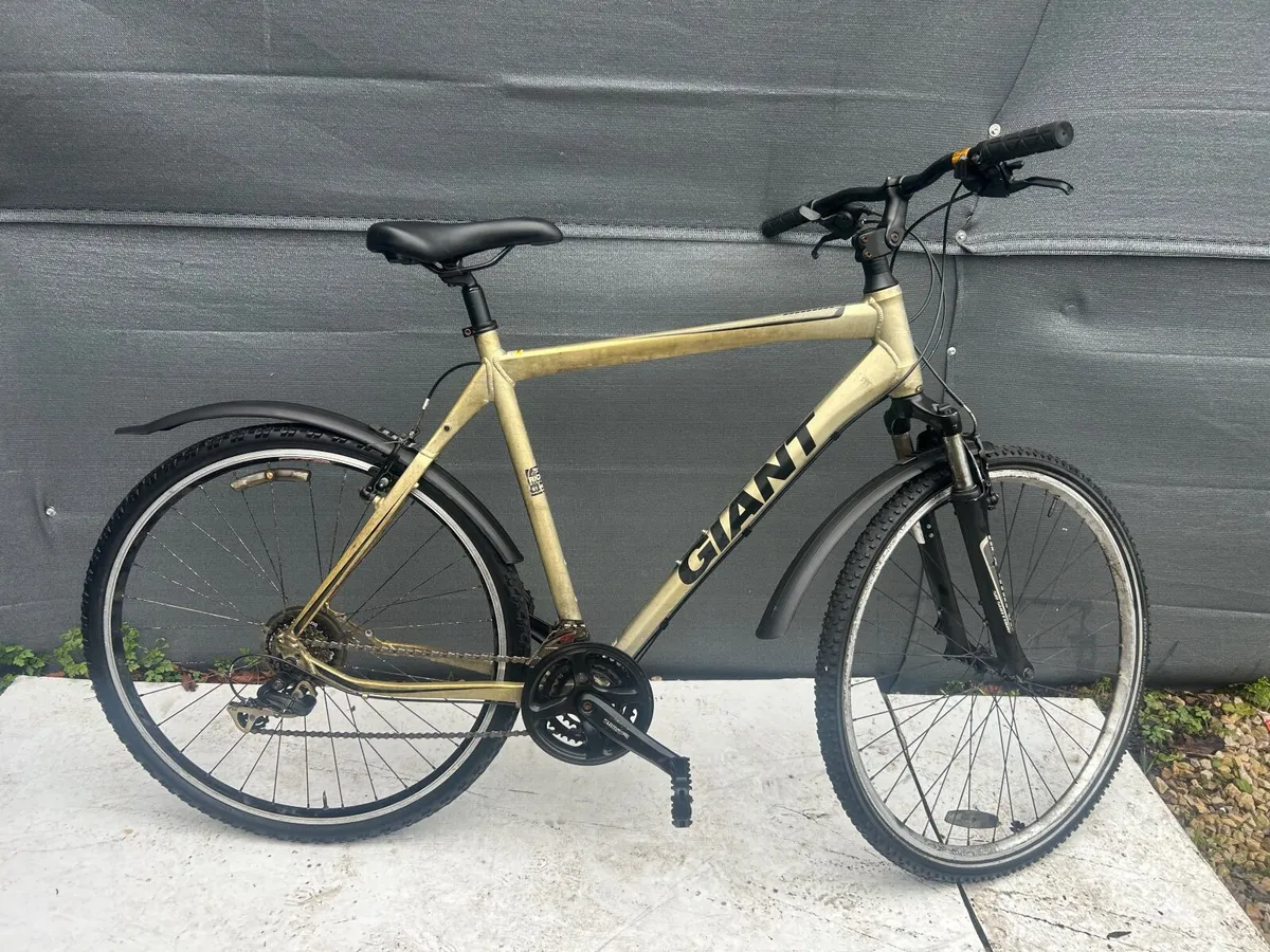 Giant Roame ❗️Open 7 days of the week ❗️ - Image 1