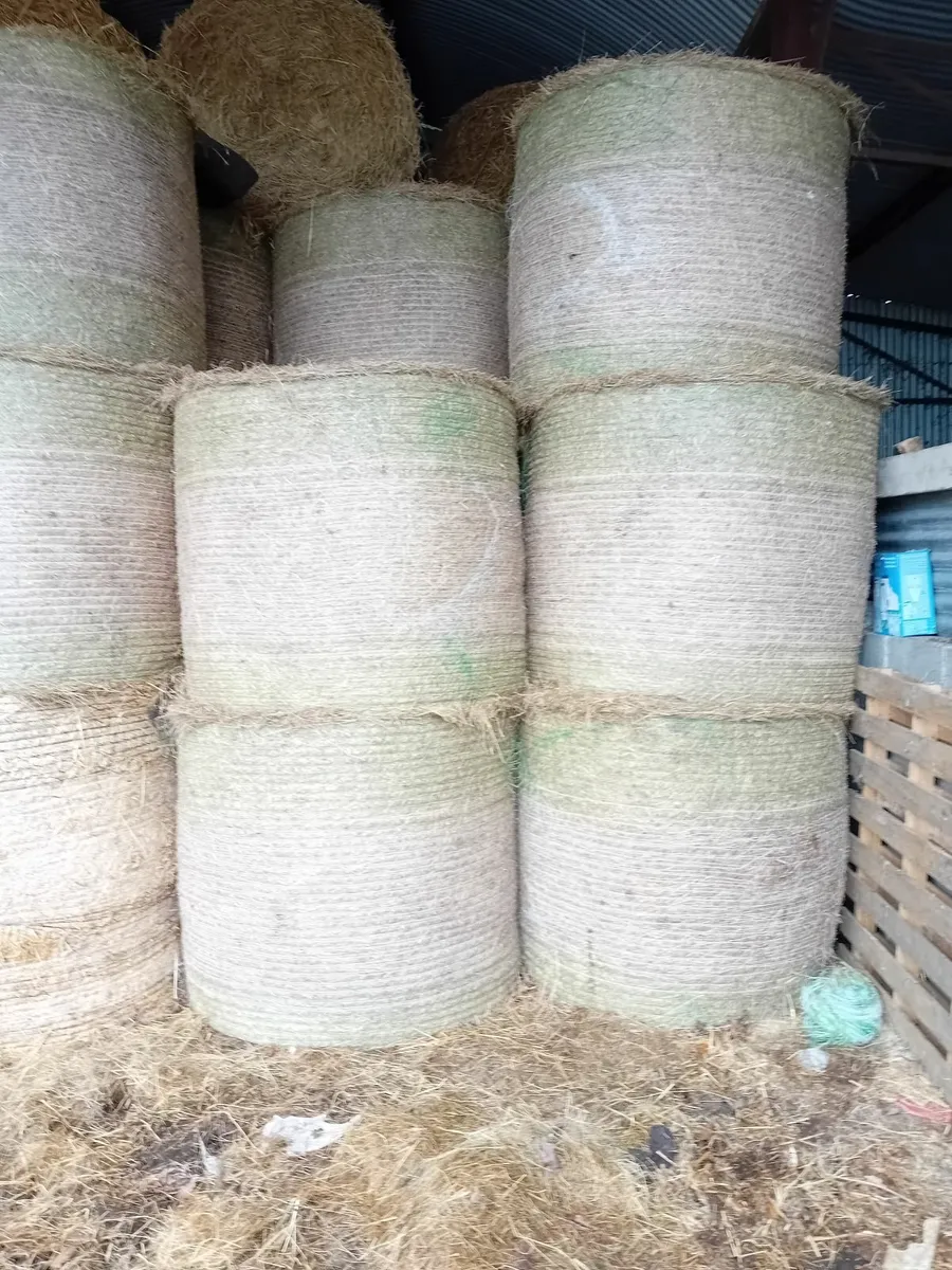 Hay - Image 3