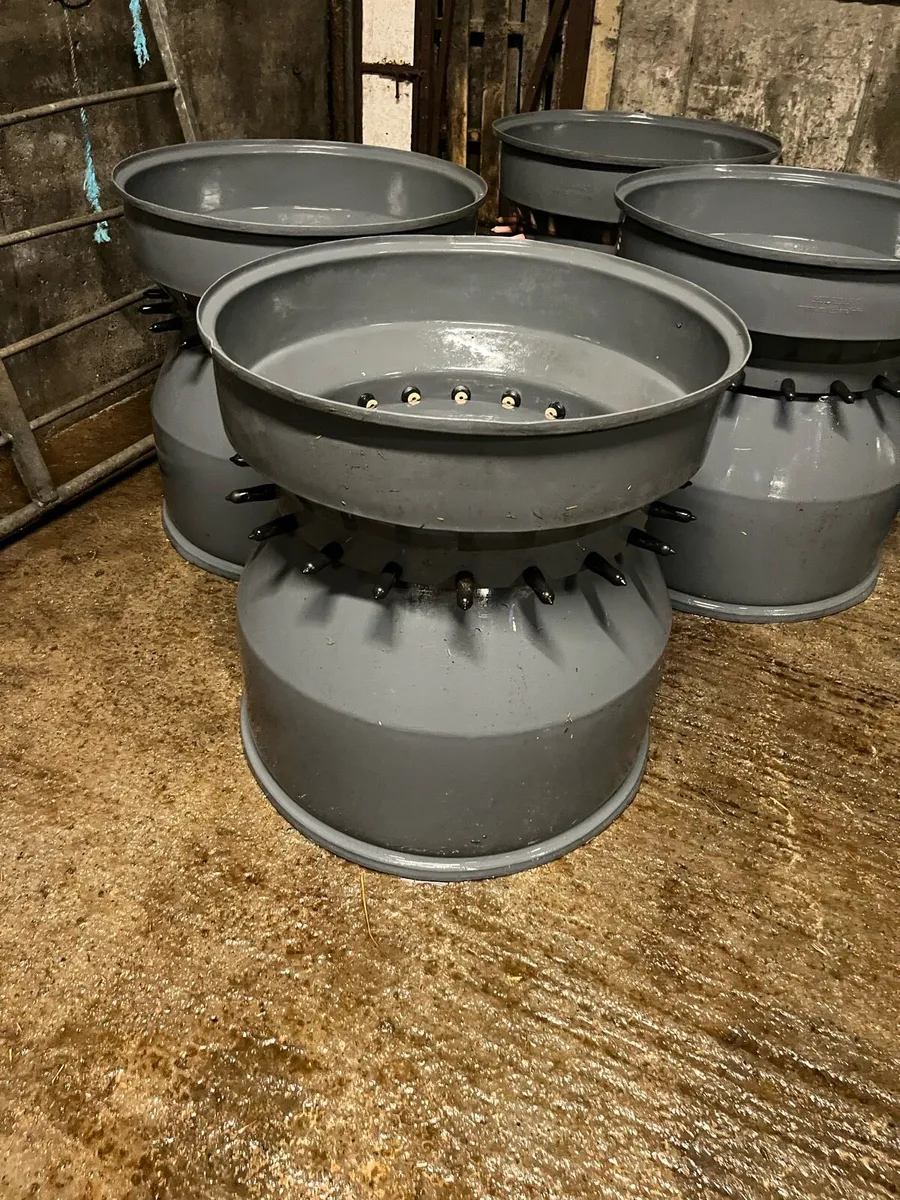Calf feeders - Image 3