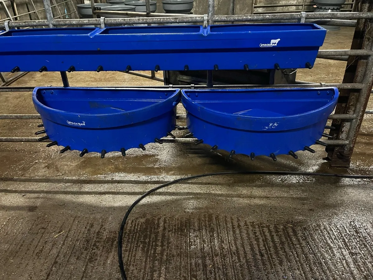 Calf feeders - Image 4