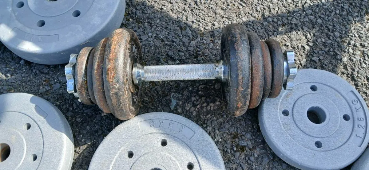 York bench and weights - Image 3