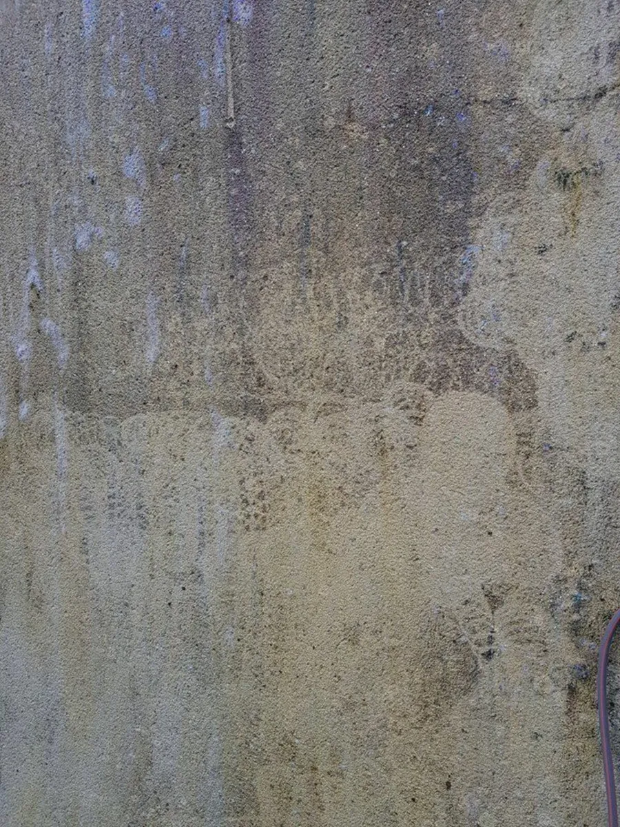 Stop power washing. Softwash instead! - Image 3