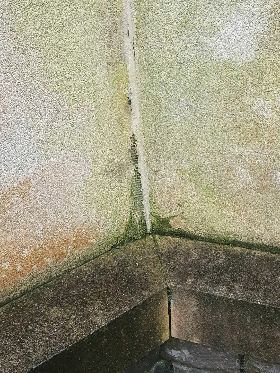 Stop power washing. Softwash instead! - Image 4