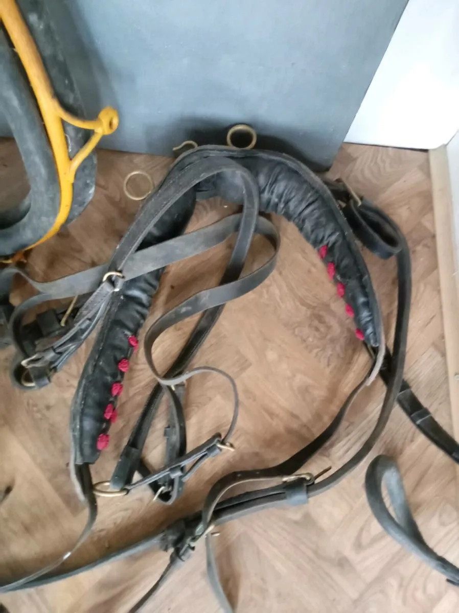 Pony  harness - Image 3
