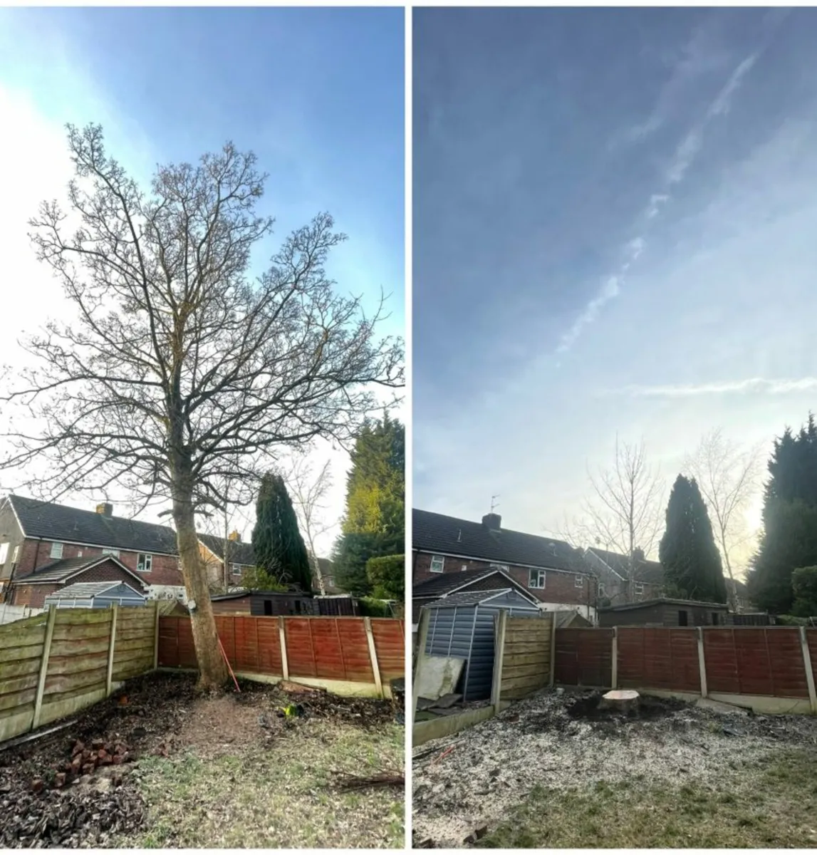 JOC Gardening Services - Image 3