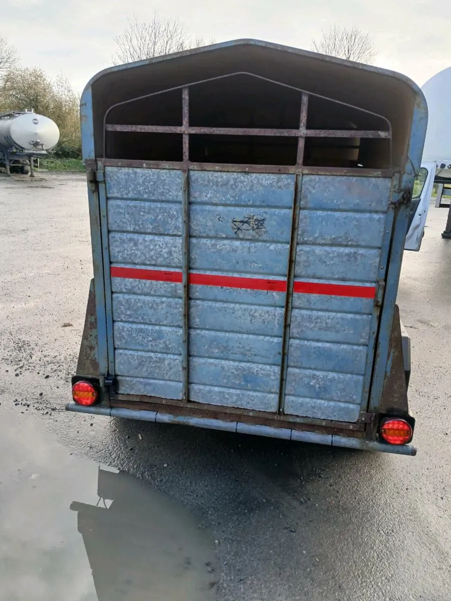 Trailer cow box - Image 3