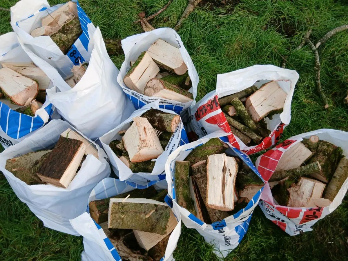 Firewood - Image 3