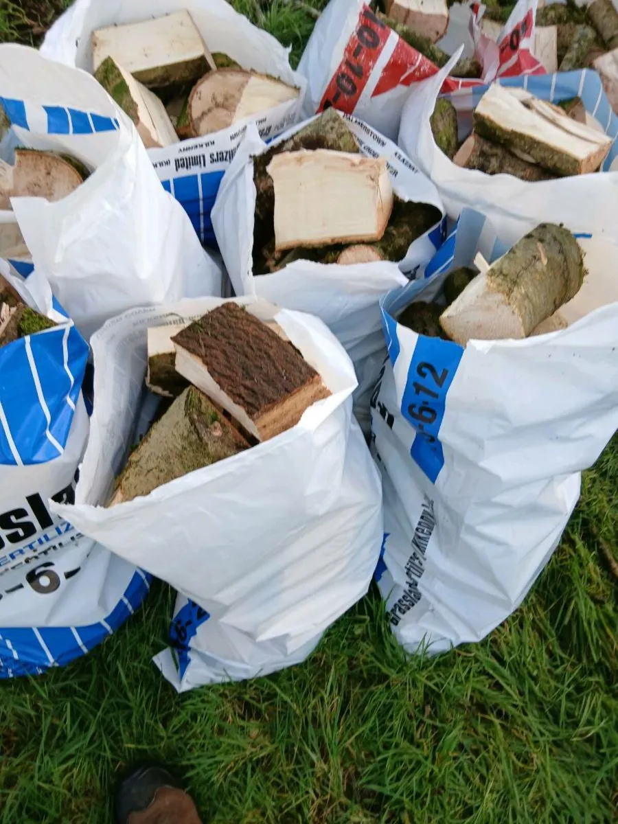 Firewood - Image 4