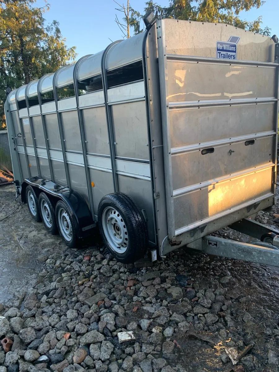 14ft cattle trailer - Image 1