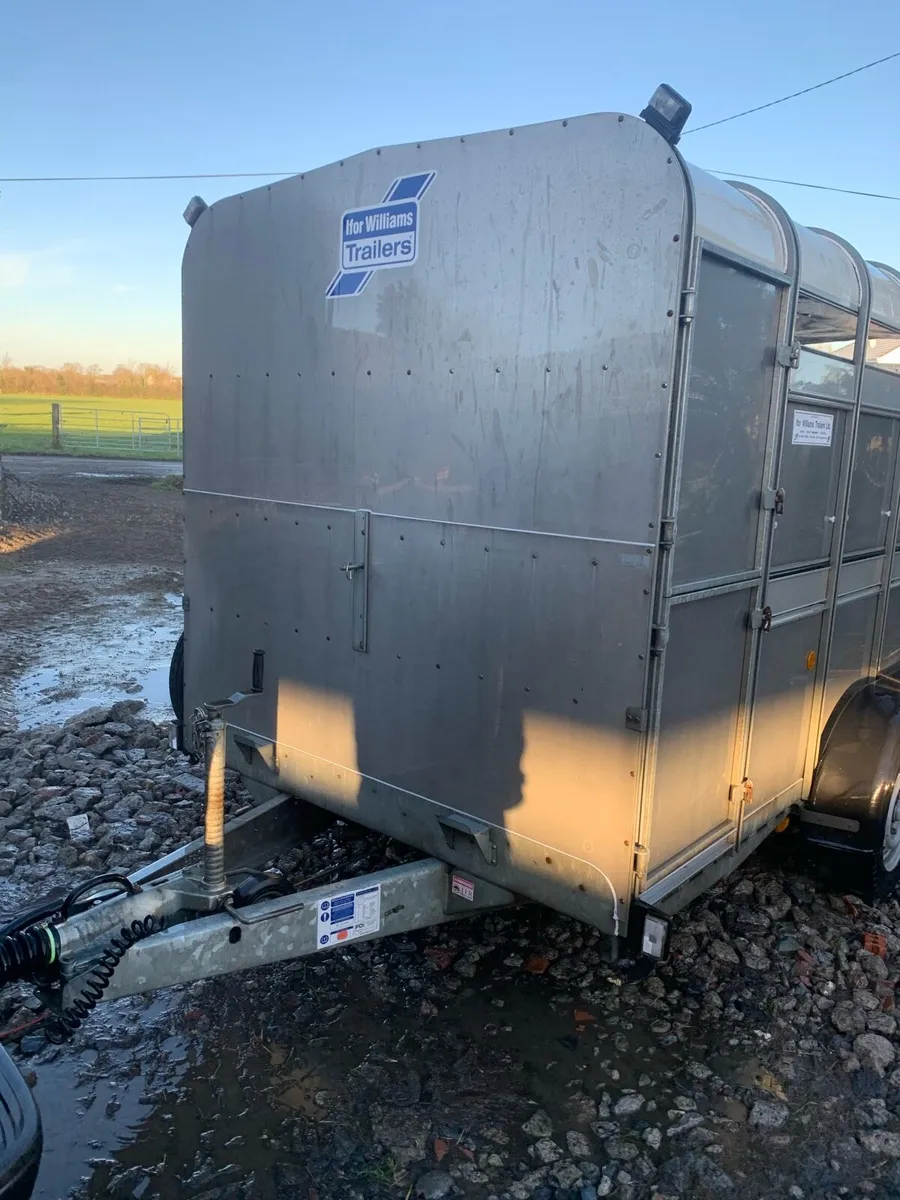 14ft cattle trailer - Image 2