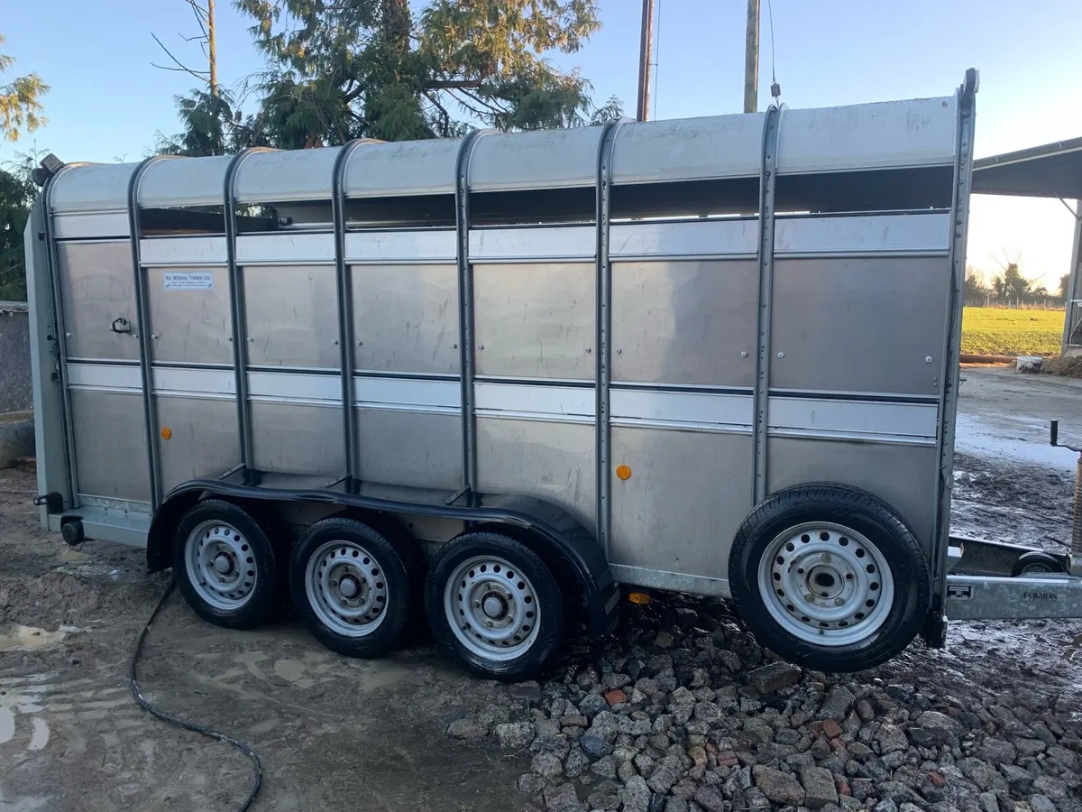 14ft cattle trailer - Image 3
