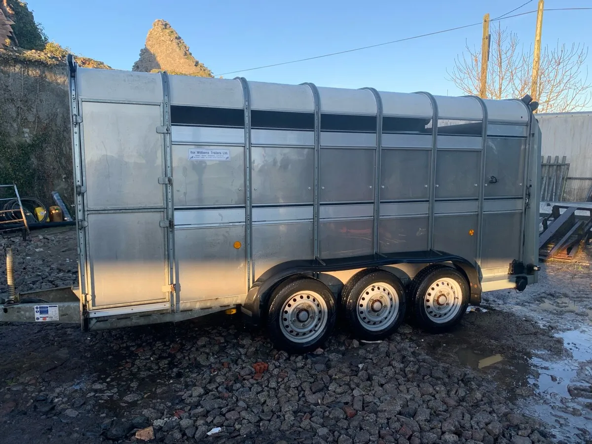 14ft cattle trailer - Image 4