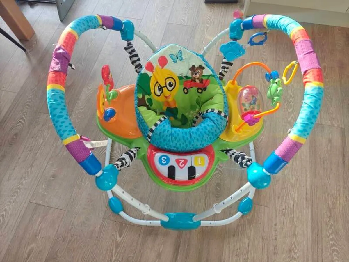 Baby Einstein Neighbourhood Friends Activity Jumper - Image 1