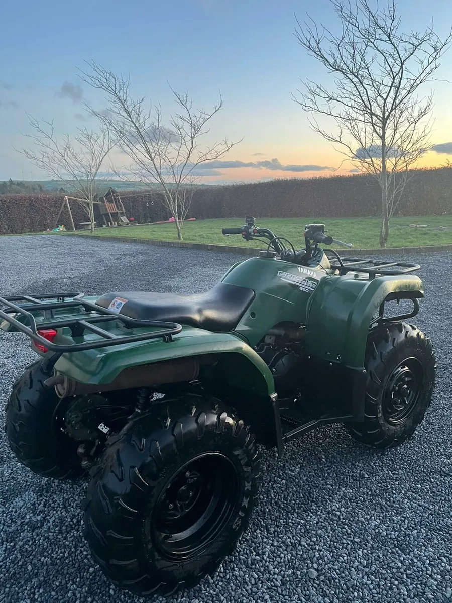 Yamaha Grizzly 350 cc - Image 4