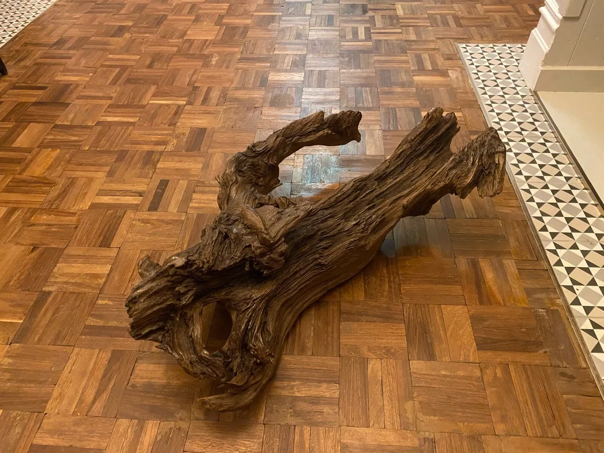 Bog dale Oak - Image 3