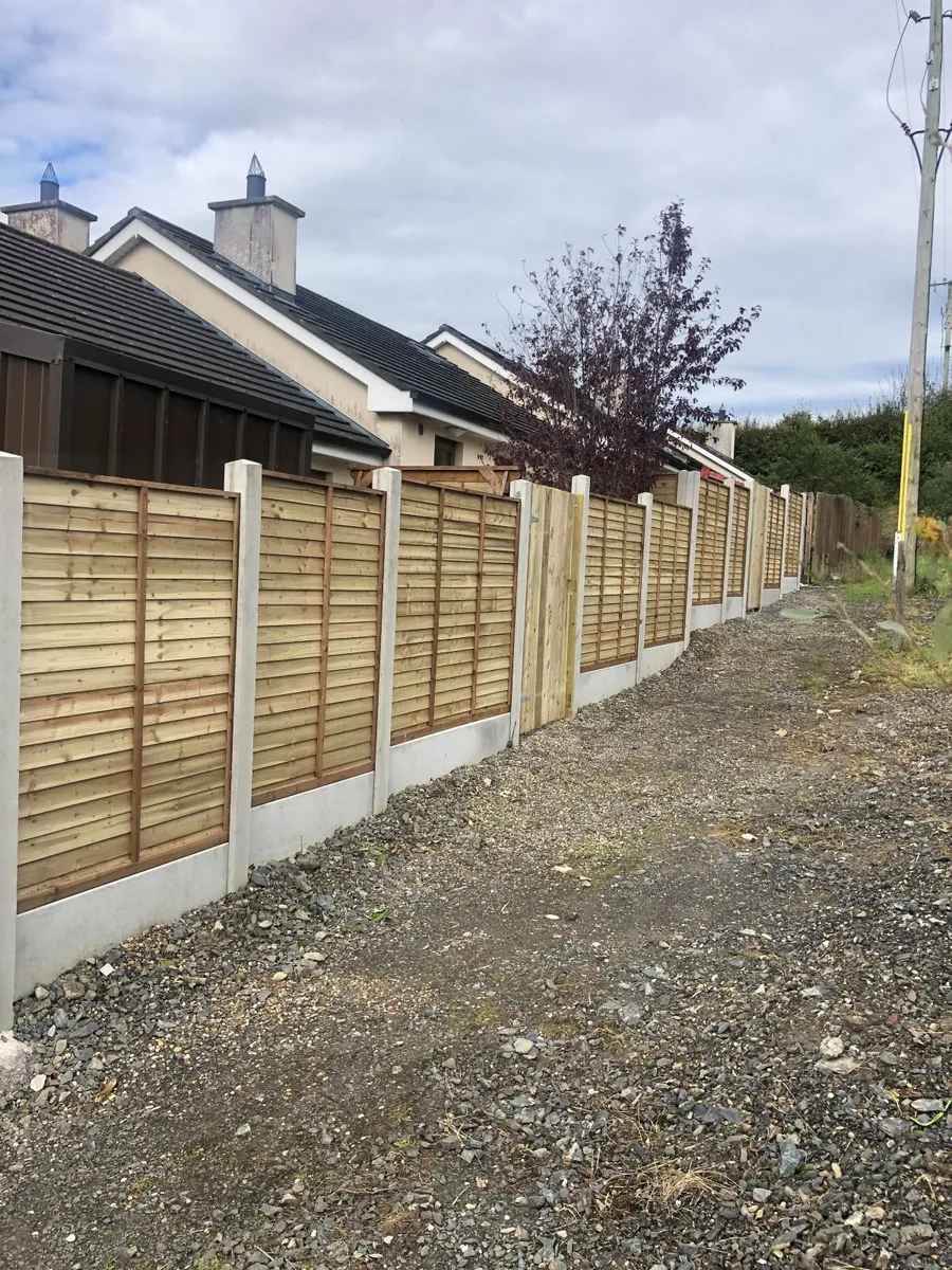 Concrete Fence Posts, Timber Panels. - Image 2