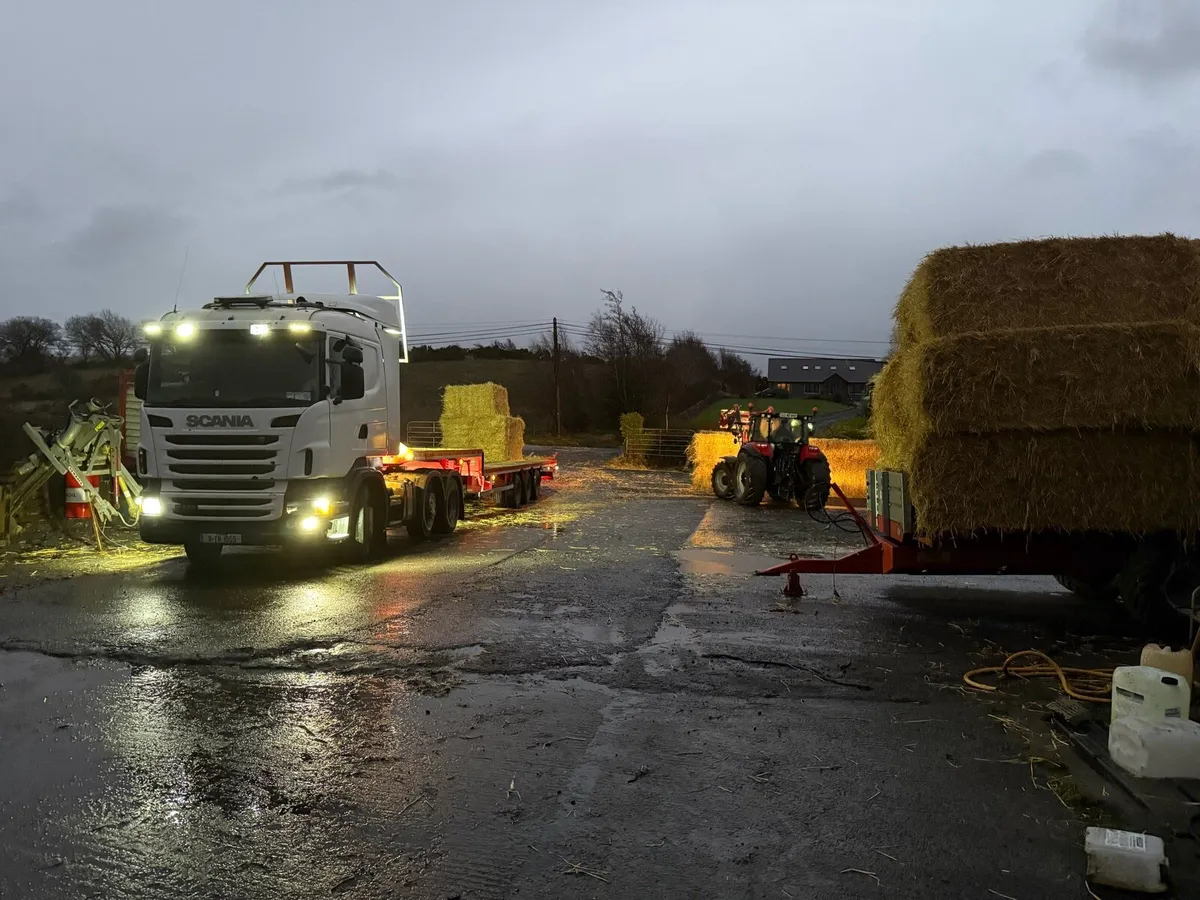 8x4x3 wheaten straw for feeding - Image 3
