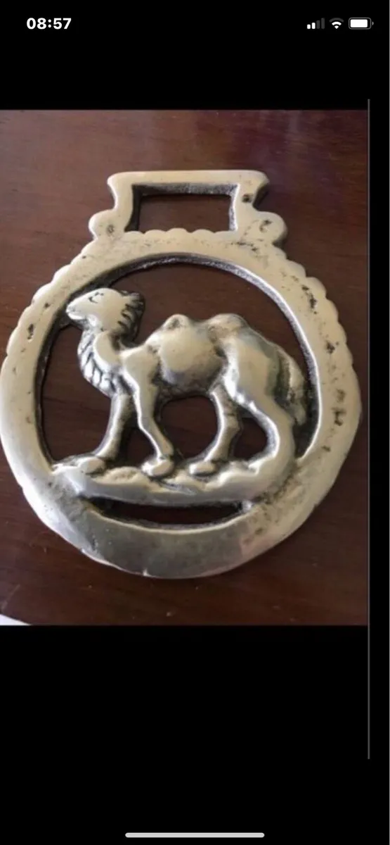 Vintage Brass Camel Bottle Opener - Image 1