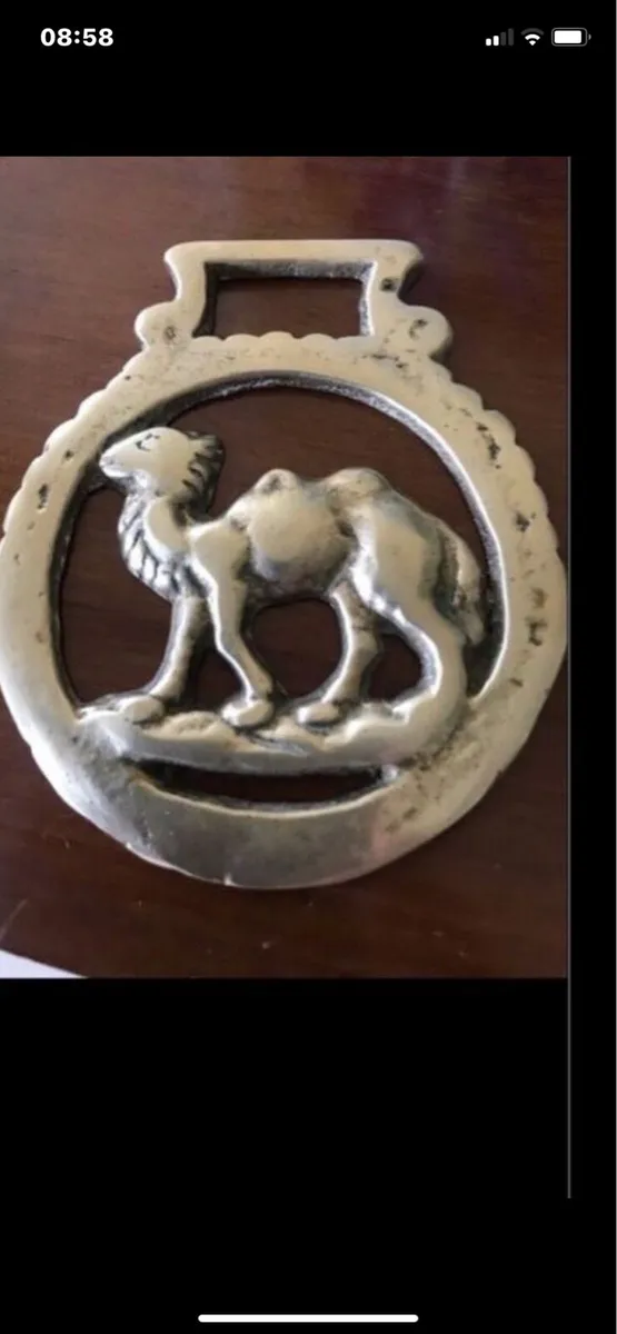 Vintage Brass Camel Bottle Opener - Image 2