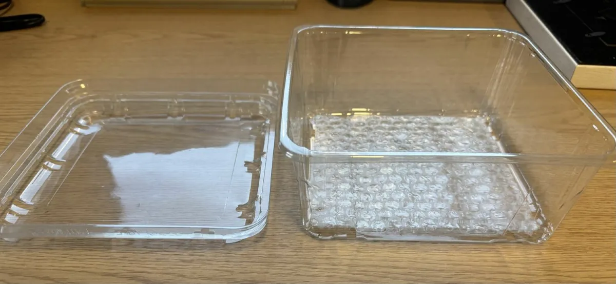 Fruit Packaging - Image 2