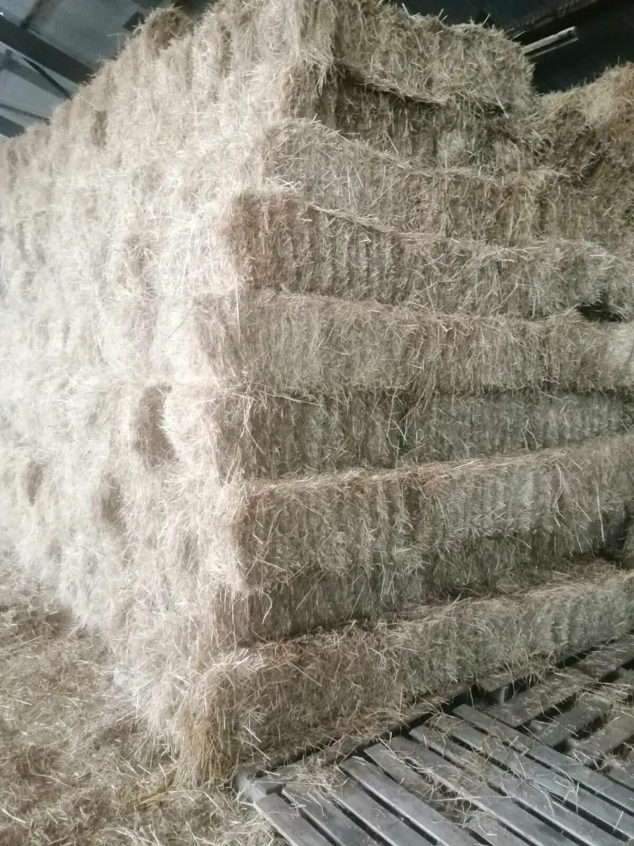 Small square bales of hay - Image 1