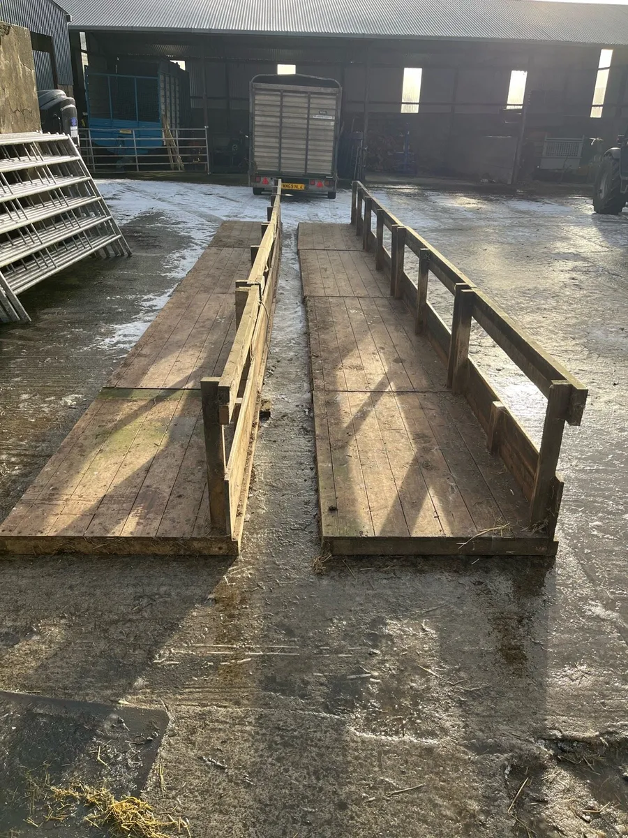 Sheep feeders - Image 3