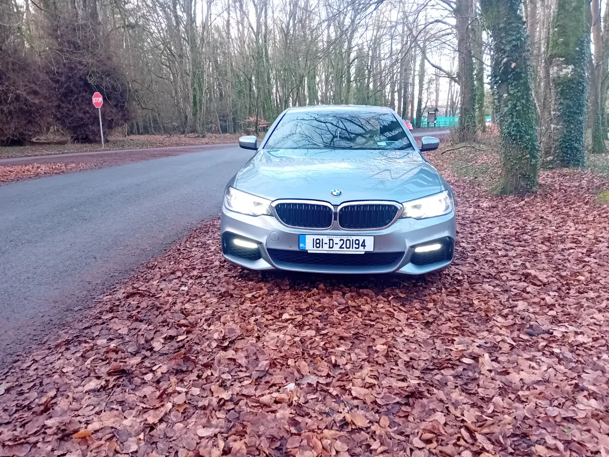 181 BMW 520D M-SPORT AUTO SALOON - Image 2