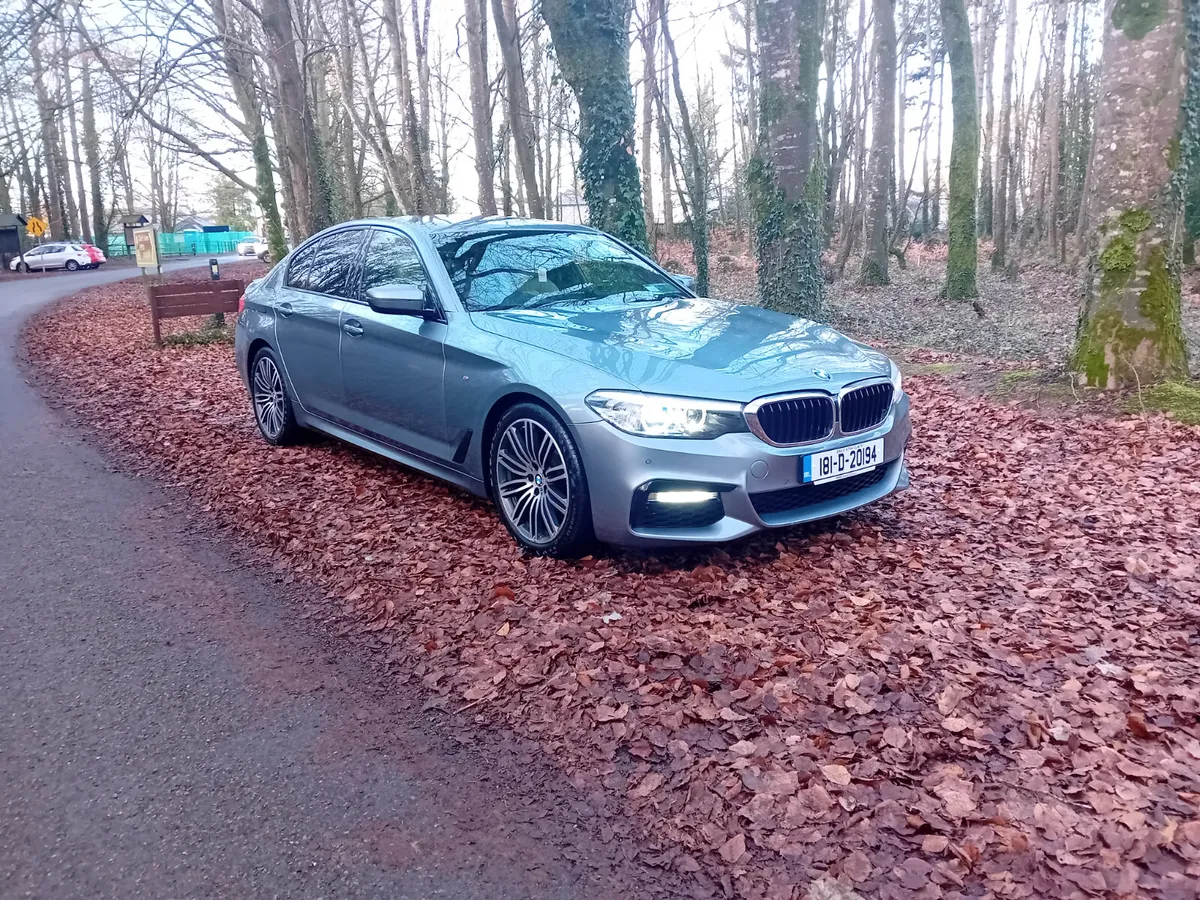 181 BMW 520D M-SPORT AUTO SALOON - Image 3