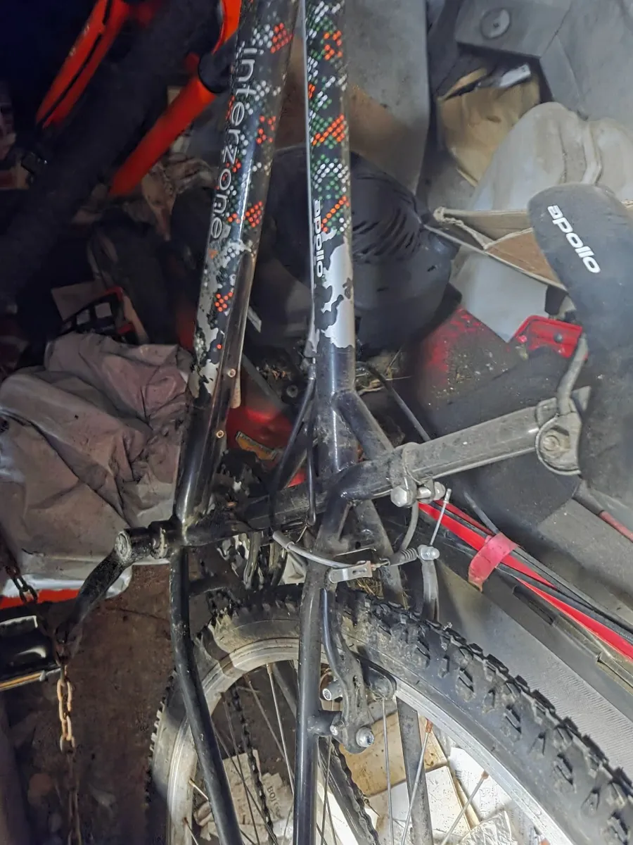 Apollo mountain bike - Image 2