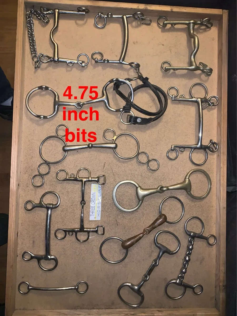Horse bits - Image 2