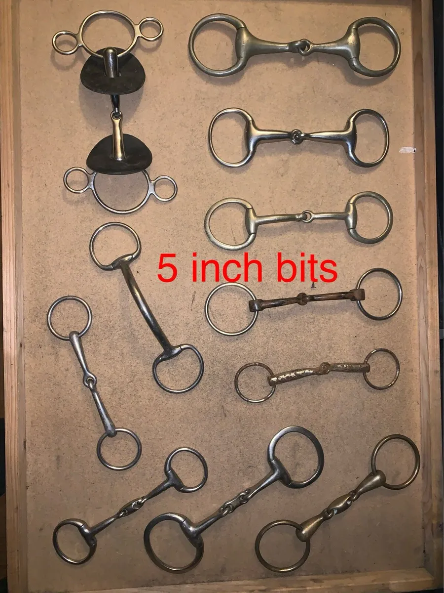 Horse bits - Image 3
