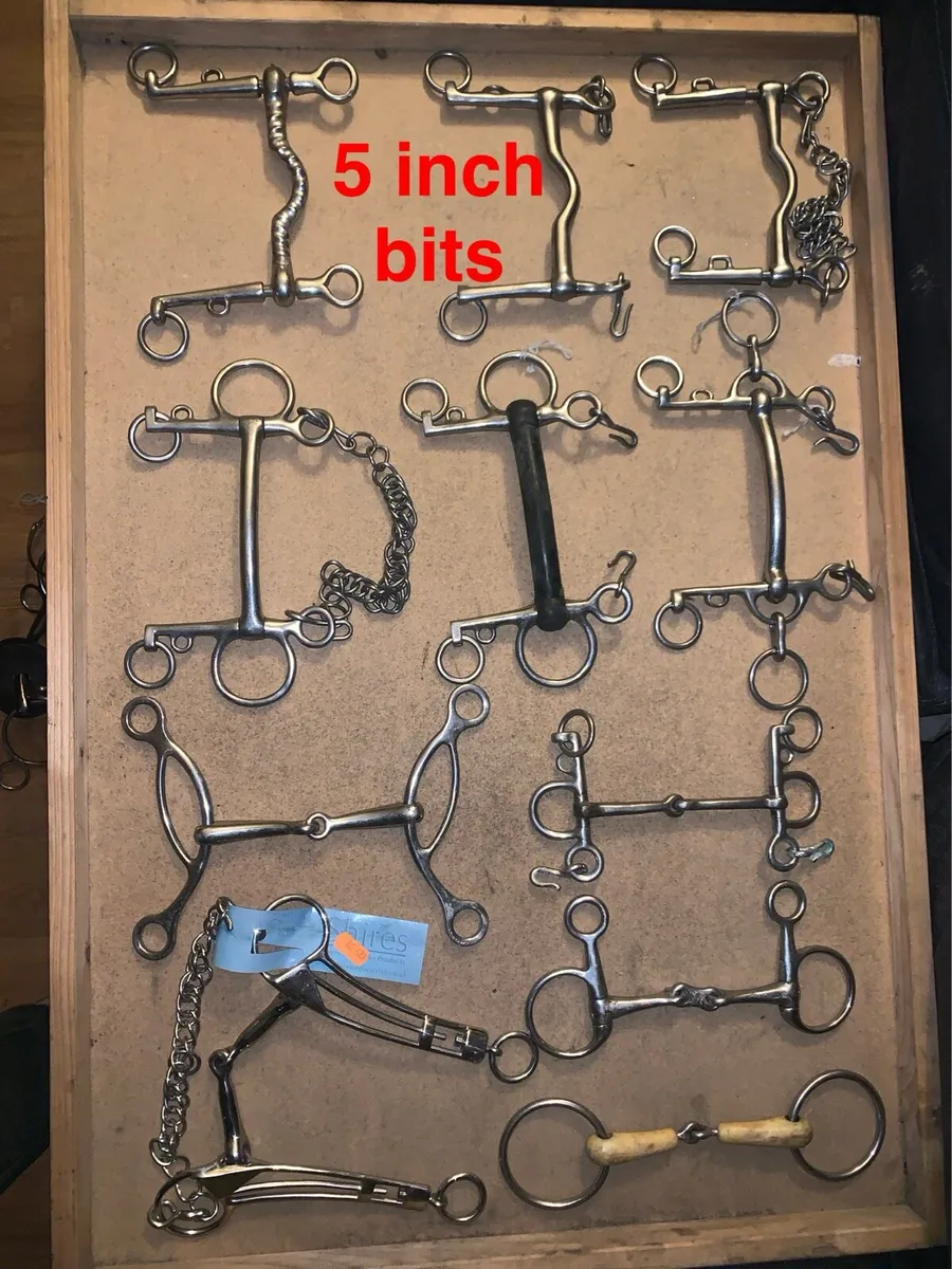 Horse bits - Image 4