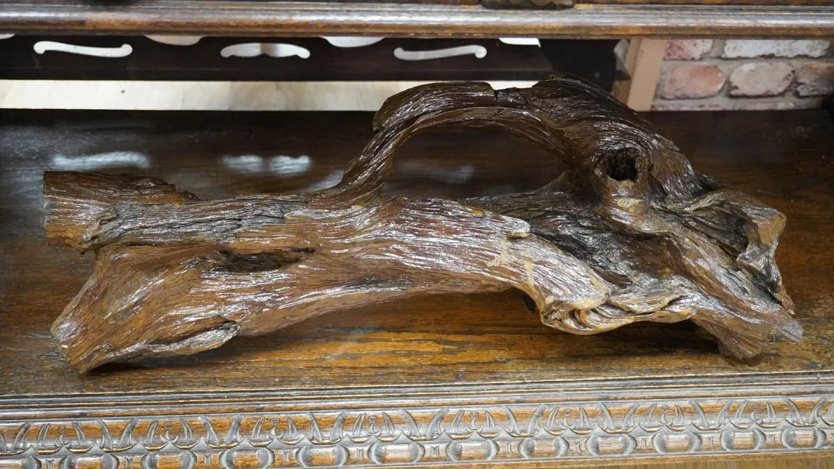 Bog Oak Root Table Sculpture - Image 2