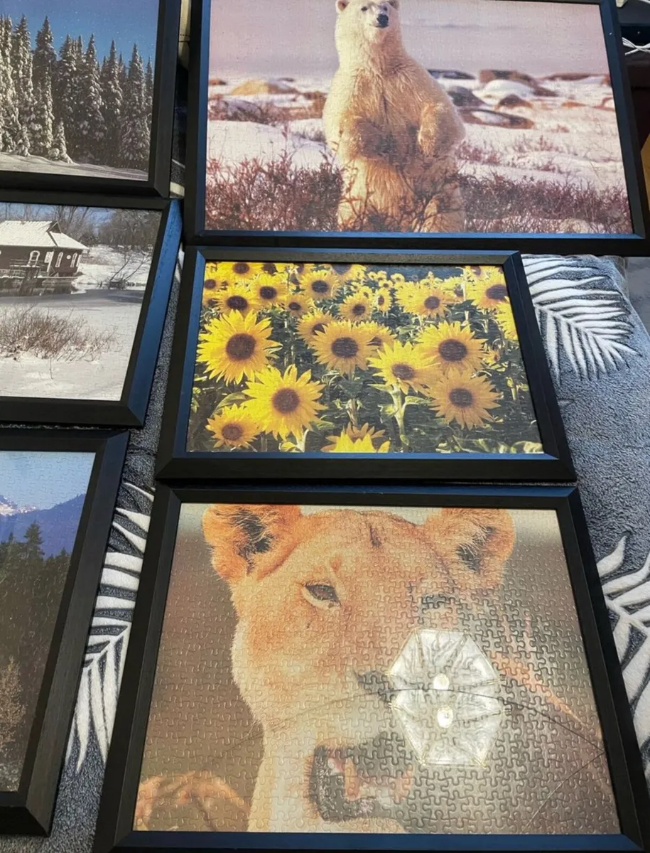 14 picture frames - Image 3