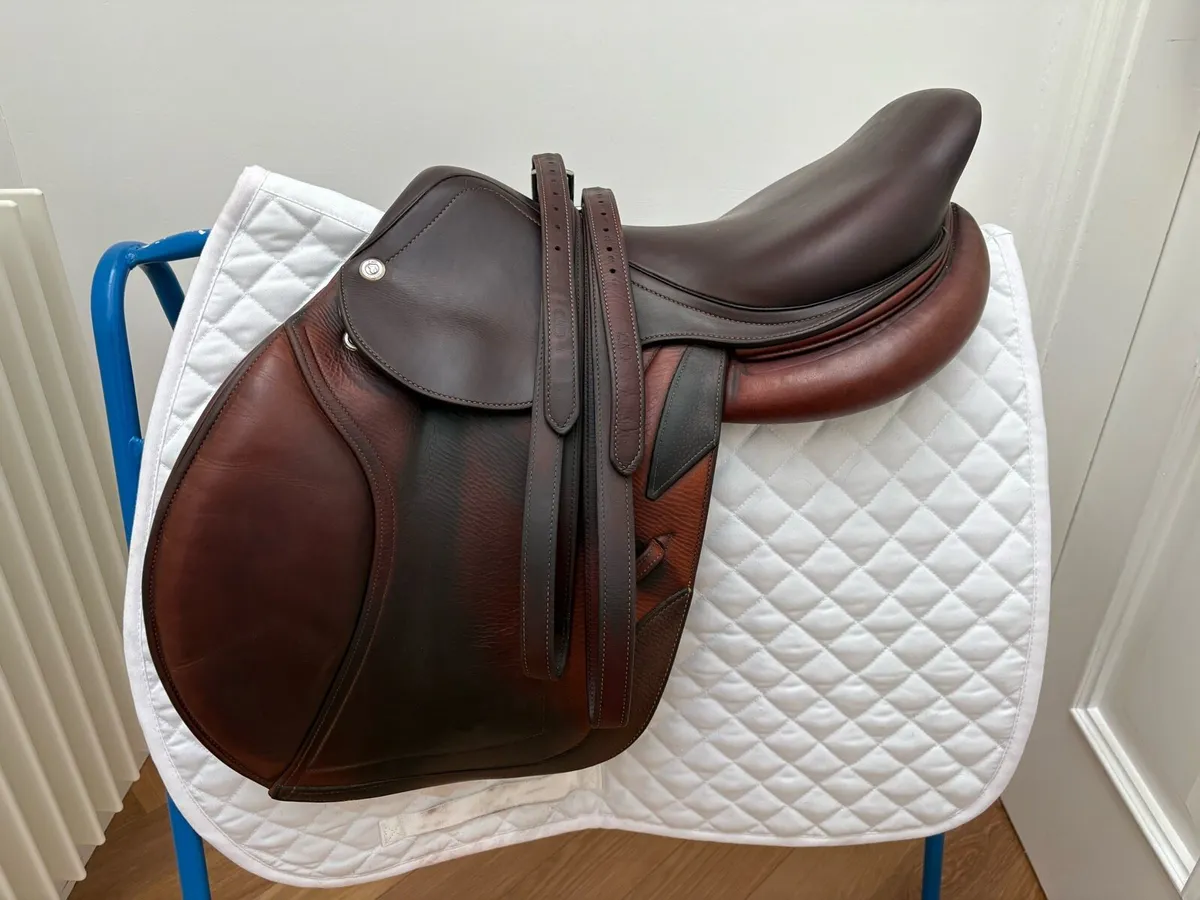 CWD saddle - Image 1