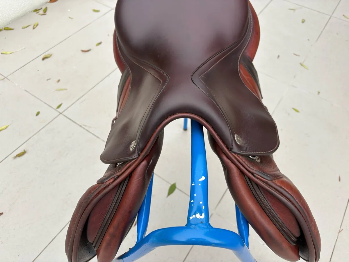 CWD saddle - Image 3