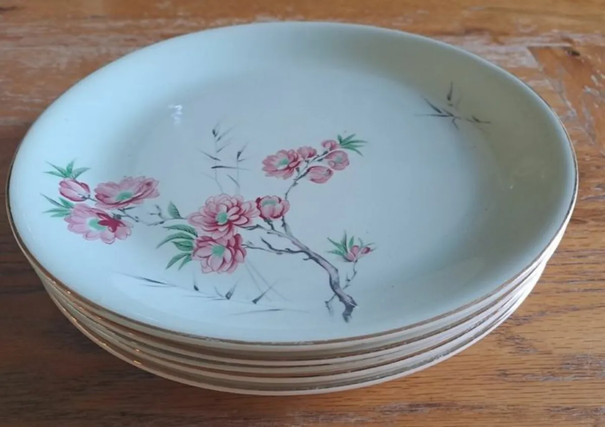 16 piece Alfred Meakin dinnerset - Image 2